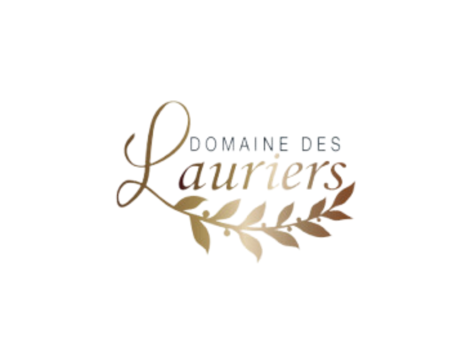 LOGO DOMAINE DES LAURIERS